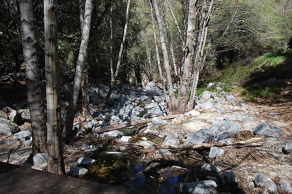DSC 0095