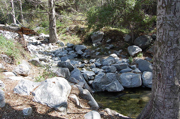 DSC 0164