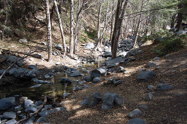 DSC 0123