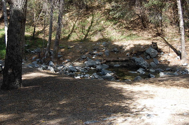 DSC 0115