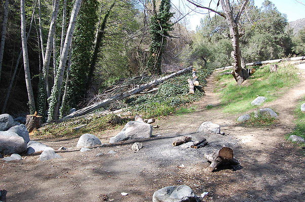 DSC 0167