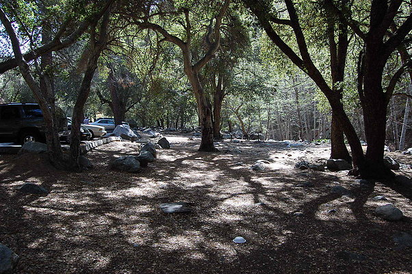 DSC 0086