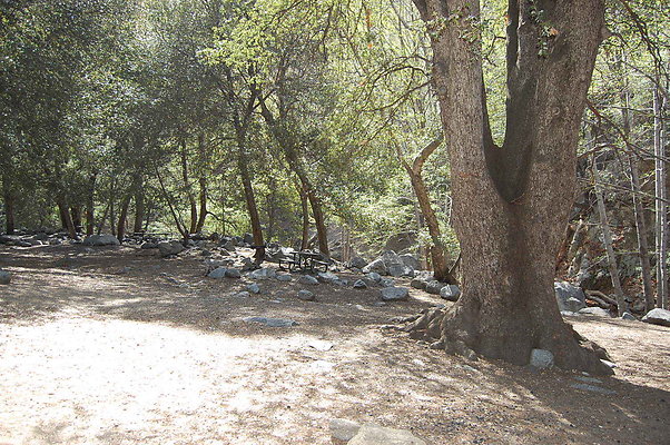 DSC 0142