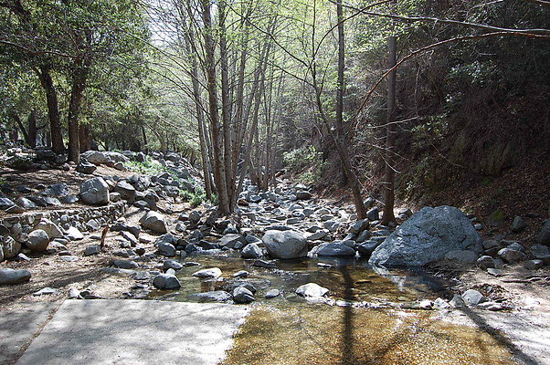 DSC 0097