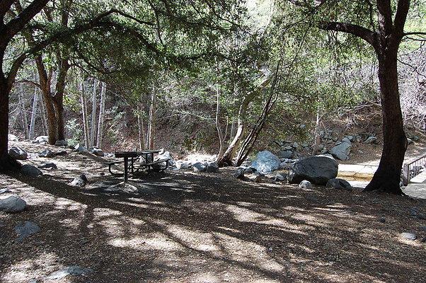DSC 0085