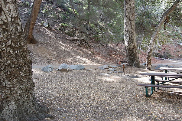 DSC 0122