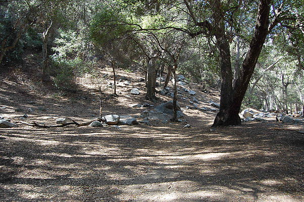 DSC 0189