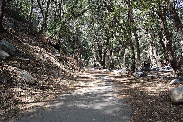 DSC 0099