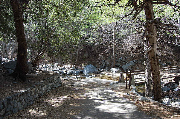 DSC 0088