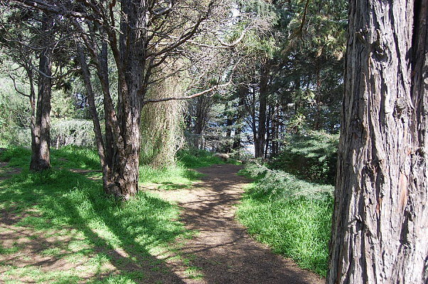 DSC 0040