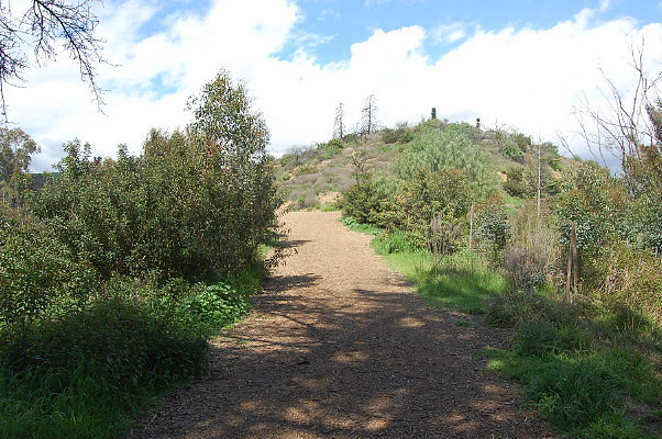 DSC 0013
