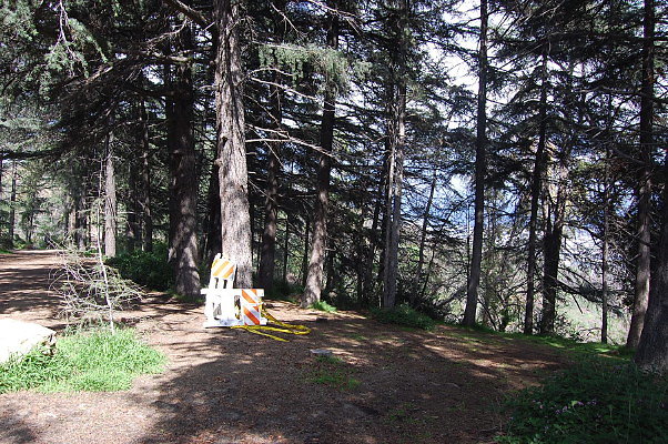 DSC 0045