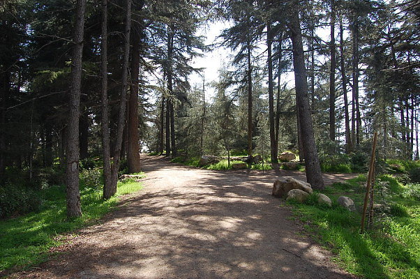 DSC 0014