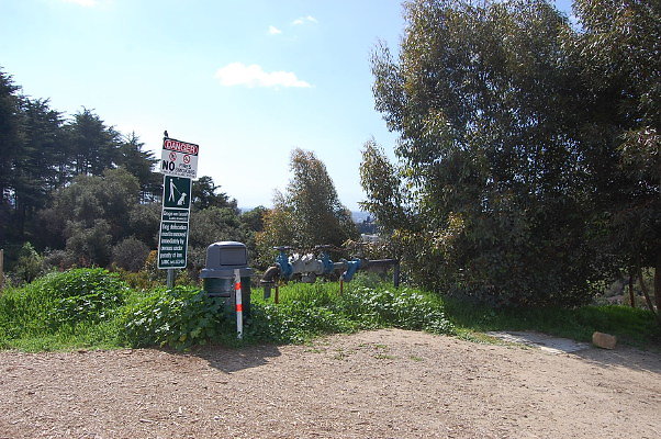 DSC 0003