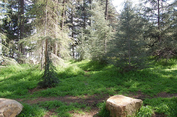 DSC 0026