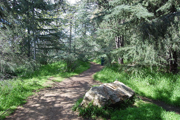 DSC 0042
