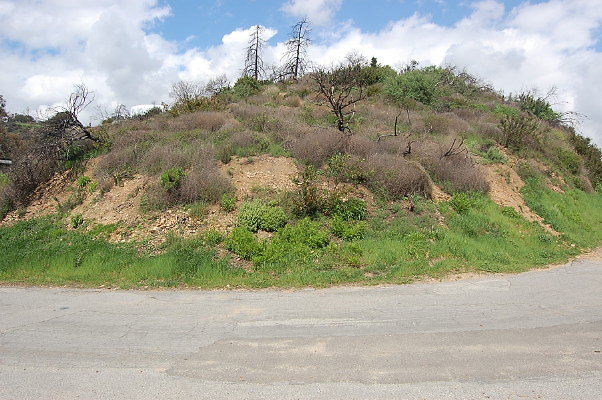 DSC 0005
