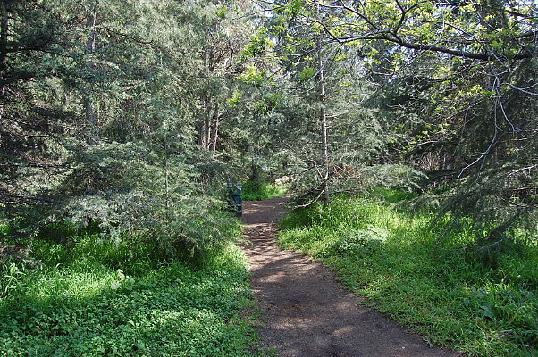 DSC 0036