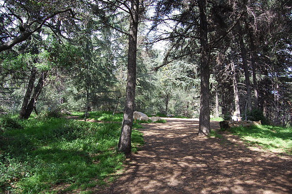 DSC 0047