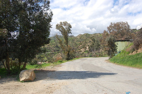DSC 0004