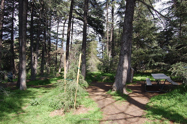 DSC 0035