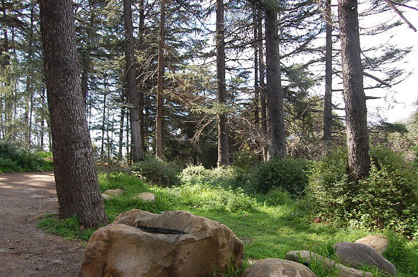DSC 0017