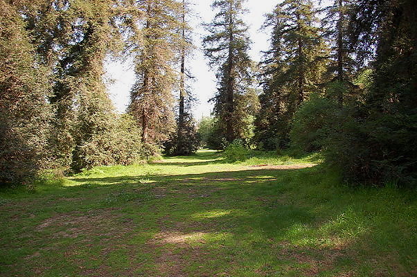 DSC 0046