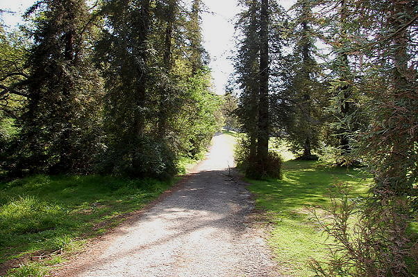 DSC 0002