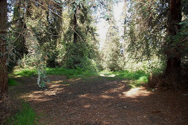 DSC 0013