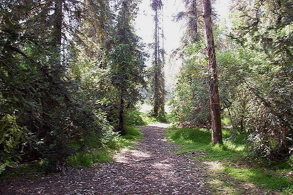 DSC 0014
