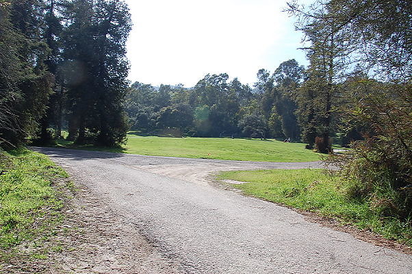 DSC 0063