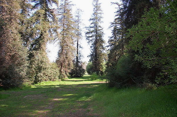 DSC 0053