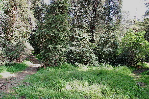 DSC 0005
