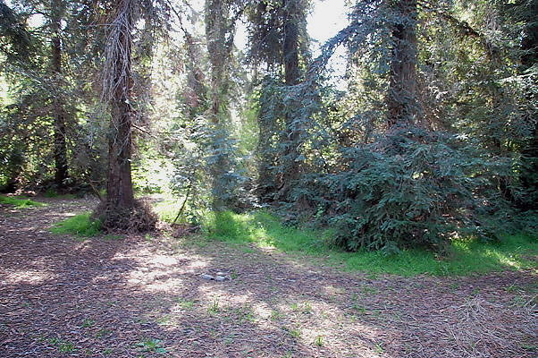 DSC 0036