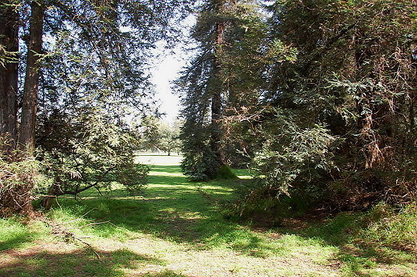 DSC 0058