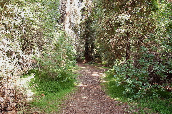 DSC 0012