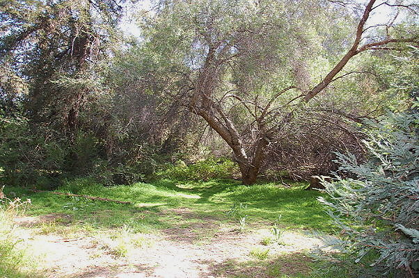 DSC 0022