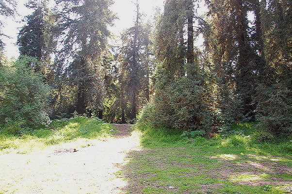 DSC 0044