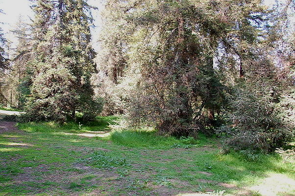 DSC 0041