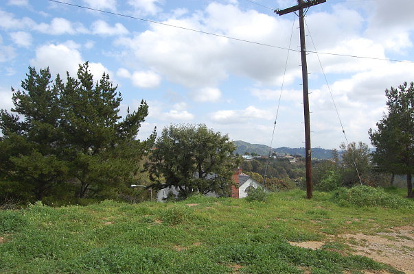 DSC 0040