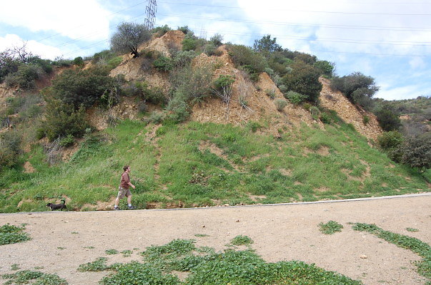 DSC 0050
