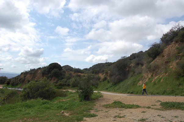 DSC 0049