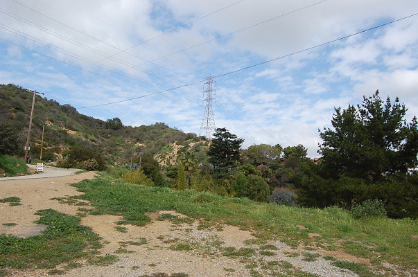 DSC 0051