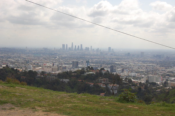DSC 0044