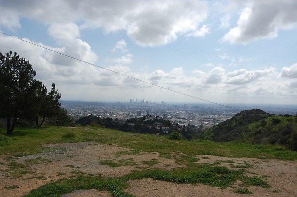 DSC 0041