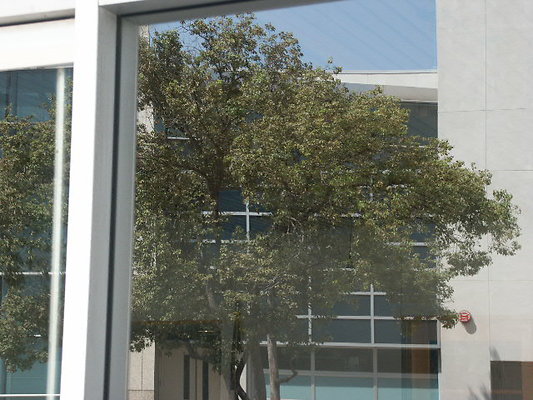 PICT0414