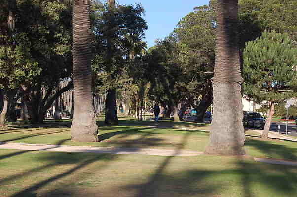 DSC 0028