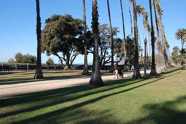 DSC 0003