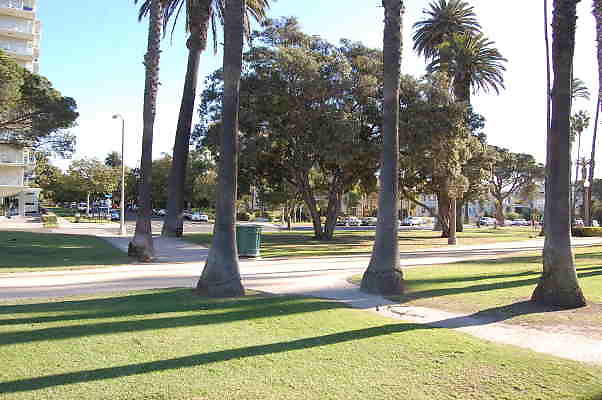 DSC 0018