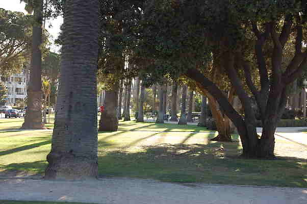 DSC 0010